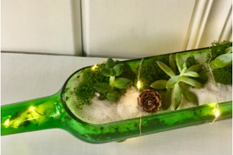 Plant Nite: Wine Bottle w/ Fairy Lights & Pinecones